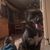 Brandon Pinger's profile image
