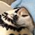 Glenda Cordova's profile image