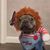 Joe Janet Barlow's profile image