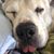 Jeanette Koenig's profile image