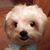 Sharon Christiansen's profile image