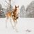 Dawn Hajost Matthews's profile image