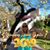 Anne Kile-Griffin's profile image