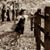 Brittany M. Sipe's profile image