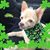 Helen Tidwell Gersch's profile image