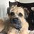 Sandy Stewart Fay's profile image