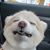 Mary Ann Kalian's profile image