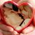 Tammie Bledsaw's profile image