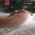 Belinda Howell Smith's profile image