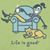 Lisa Johnson Guidos's profile image