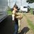 Connie Ellison's profile image
