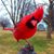 Patricia Banks's profile image
