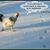 Jane Payton Engel's profile image