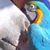 Kat Arce's profile image