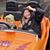 Jean Gause Rawlinson's profile image