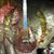 Dave Barnes's profile image