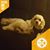 Cheryl Palko's profile image