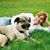 Corrine Bultman's profile image