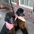 Dianne Wise-Gubka's profile image