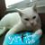 Rosario Ruiz's profile image