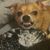 Heather Marie Bennett's profile image