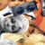 Chrissy Hall's profile image