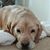 Susan Elizabeth Gasal's profile image