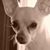 Cheryl Jones's profile image