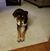 Patti Shiller Cavlovic's profile image