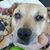Stephanie Newman's profile image