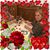 Arnulfo Amparo Quintero's profile image