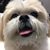 Wendy Montiel Guerrero's profile image