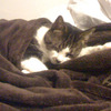 Caroline E.'s profile image