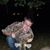 Kyle Warren's profile image