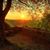 Daffo Noor's profile image