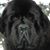 Bill Bartlett's profile image