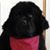 Louise Wright's profile image