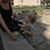 Laura Dignam Dowling's profile image