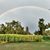 Sandy Palmer Hausserman's profile image