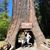 Judy Granlee-Gates's profile image