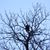 Troy Wouters's profile image