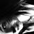 Chayton Simons's profile image