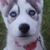 Susan Daly Kerr's profile image