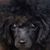 Patricia Mink's profile image