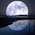 Suzanne Riggle's profile image