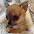 Jenina Fortner's profile image