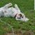Tammy Kibler's profile image