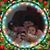 Dar Arrowood's profile image