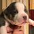 Jaclyn Ponto's profile image