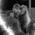 Josh N Cristy Gaspers's profile image